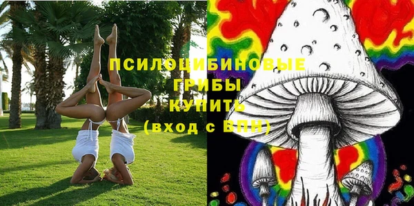 ГАЛЛЮЦИНОГЕННЫЕ ГРИБЫ Нефтекумск