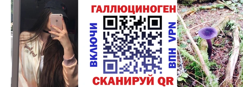 Псилоцибиновые грибы Psilocybine cubensis  mega как войти  Иннополис 